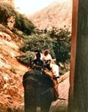 059_JAIP [800x600] [132x165]