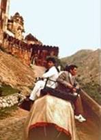 062_JAIP [800x600] [119x165]